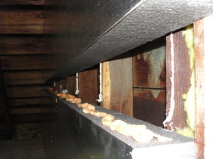 An effective attic insulation system in a Seaford home
