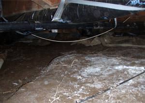 A musty, moldy, rotting dirt crawl space in Middletown that is in dire need of repairs