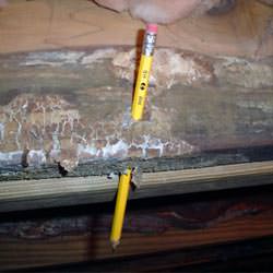 A floor joist with severe mold damage in Smyrna