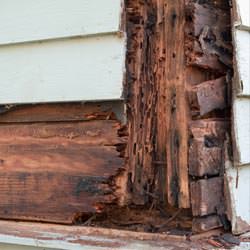 termite damaged wood in a Easton crawl space